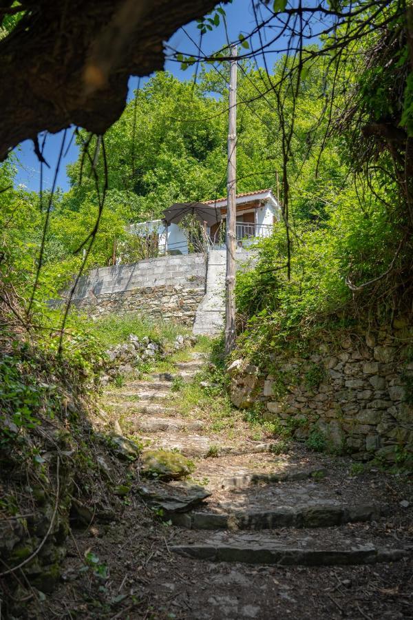 Pelion House With Stunning View To Relax Villa Vizitsa Bagian luar foto